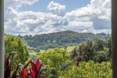 Farm Sold - NSW - The Channon - 2480 - Private Oasis, Surrounding Views & A Flourishing Food Garden  (Image 2)