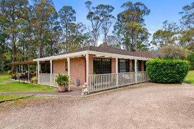 Farm Sold - NSW - Medowie - 2318 - ACREAGE FOR A LARGE FAMILY!  (Image 2)
