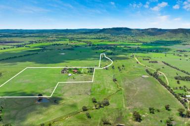 Farm For Sale - NSW - Mudgee - 2850 - Elegant country lifestyle property with working farm  (Image 2)