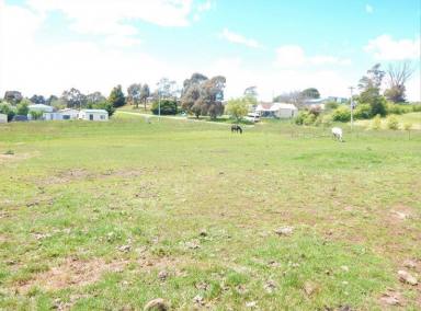 Farm Sold - NSW - Nimmitabel - 2631 - Village Block  1/2 Acre  (Image 2)