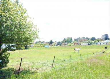 Farm Sold - NSW - Nimmitabel - 2631 - Village Block  1/2 Acre  (Image 2)
