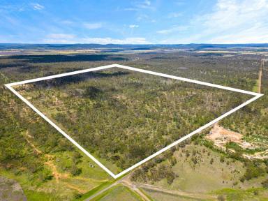 Farm Sold - QLD - Sandy Camp - 4361 - Just the Right Amount of Privacy!  (Image 2)