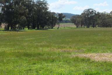 Farm Sold - VIC - Warrenmang - 3478 - 38 ACRES (approx):  STUNNING LIFESTYLE PROPERTY  (Image 2)