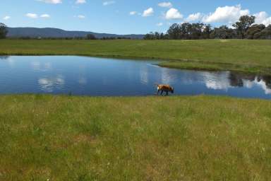 Farm Sold - VIC - Warrenmang - 3478 - 38 ACRES (approx):  STUNNING LIFESTYLE PROPERTY  (Image 2)