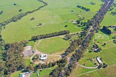Farm Sold - VIC - Woodside - 3874 - PRIVATE HIGHWAY FRONTAGE - 3 ACRES  (Image 2)