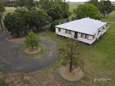 Farm For Sale - QLD - Dalby - 4405 - WANTING MORE SPACE FOR YOUR FAMILY?  (Image 2)