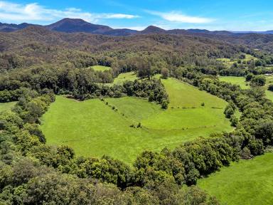 Farm Sold - NSW - Brierfield - 2454 - Views, Privacy, Production, River...  (Image 2)