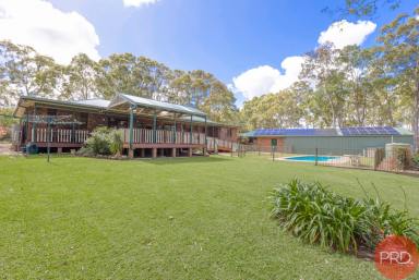 Farm For Sale - NSW - Windella - 2320 - COUNTRY CHARM  (Image 2)
