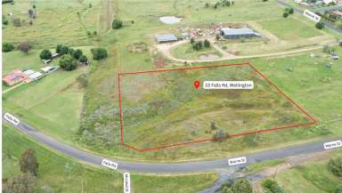 Farm Sold - NSW - Wellington - 2820 - LIFESTYLE BLOCK ON THE EDGE OF TOWN  (Image 2)