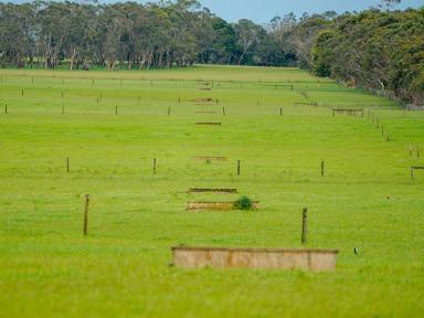 Farm Sold - VIC - Orford - 3284 - "FRYS" - ORFORD - 380 ACRES  (Image 2)