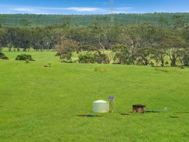 Farm Sold - VIC - Orford - 3284 - "FRYS" - ORFORD - 380 ACRES  (Image 2)