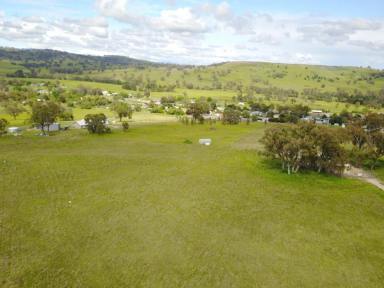 Farm Sold - NSW - Willow Tree - 2339 - 8 Ralphie Howard Drive, Willow Tree  (Image 2)