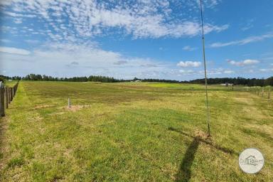 Farm Sold - QLD - Tinana South - 4650 - Acreage in Tinana!  (Image 2)