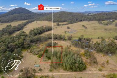 Farm Sold - NSW - The Branch - 2425 - Motivated Vendor - Inspect & make an offer!  (Image 2)