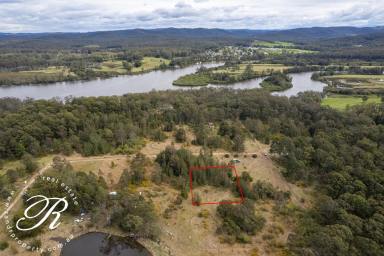 Farm Sold - NSW - The Branch - 2425 - Motivated Vendor - Inspect & make an offer!  (Image 2)