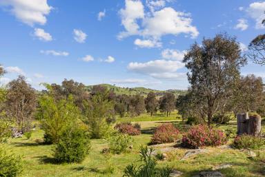 Farm Sold - NSW - Yass - 2582 - Build Your Dream Rural Retreat on 21 acres* (Under Offer)  (Image 2)