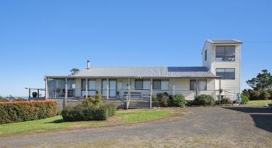 Farm Sold - VIC - Lavers Hill - 3238 - CAPTIVATING GREAT OCEAN ROAD PROPERTY  (Image 2)