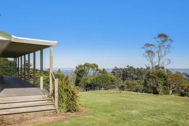 Farm Sold - VIC - Lavers Hill - 3238 - CAPTIVATING GREAT OCEAN ROAD PROPERTY  (Image 2)