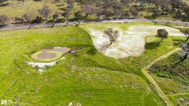 Farm Sold - NSW - Mudgee - 2850 - PLENTY OF LAND, PLENTY OF FUN!  (Image 2)