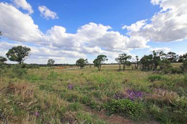 Farm Sold - QLD - Dululu - 4702 - Centrally Located Breeder Block  (Image 2)