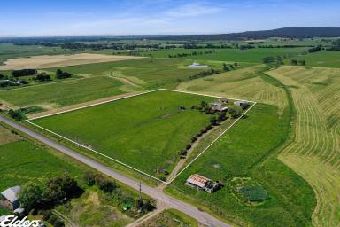 Farm Sold - VIC - Jack River - 3971 - COUNTRY LIVING AT JACK RIVER  (Image 2)