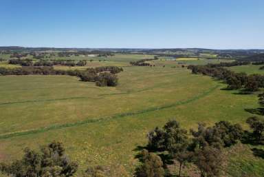 Farm For Sale - WA - Beverley - 6304 - Wilgy Hill Farm 365.58ha (902.98acres)  (Image 2)