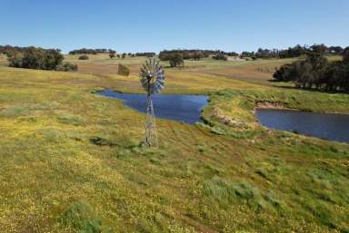 Farm For Sale - WA - Beverley - 6304 - Wilgy Hill Farm 365.58ha (902.98acres)  (Image 2)