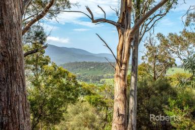 Farm For Sale - TAS - Apslawn - 7190 - Position, Privacy & Potential on Cherry Tree Hill  (Image 2)