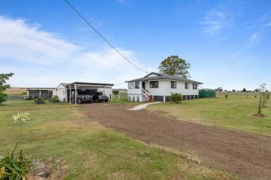 Farm Sold - QLD - Spring Creek - 4361 - Perfect Entry Level Lifestyle Block!  (Image 2)