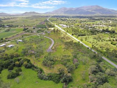 Farm For Sale - QLD - Nome - 4816 - 4,204 SQM Of Pure, Semi-Rural Bliss!  (Image 2)