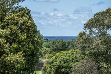 Farm Sold - NSW - Fernleigh - 2479 - Welcome to your private hilltop oasis  (Image 2)