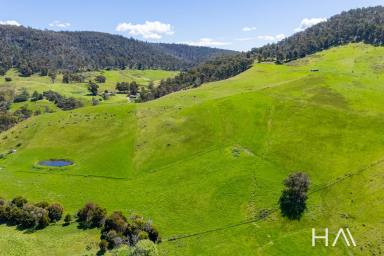 Farm Sold - TAS - Colebrook - 7027 - Large lifestyle/farming property with spectacular views and complete privacy  (Image 2)
