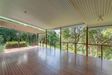 Farm Sold - QLD - Black Mountain - 4563 - Motivated Sellers Have Bought Elsewhere  (Image 2)