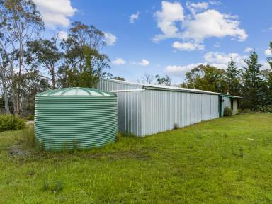 Farm Sold - NSW - Marulan - 2579 - LIFESTYLE RETREAT  (Image 2)