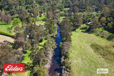 Farm For Sale - VIC - Toorloo Arm - 3909 - 'Hinterland' - A Lifestyle Choice  (Image 2)