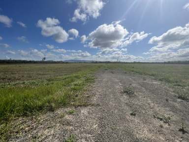 Farm Sold - QLD - Cooktown - 4895 - 2 x 20 ACRES, CLEARED & FENCED  (Image 2)