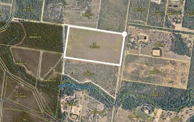 Farm Sold - QLD - Cooktown - 4895 - 2 x 20 ACRES, CLEARED & FENCED  (Image 2)