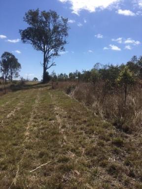 Farm For Sale - QLD - Blackbutt - 4314 - 18.5 Acres with amazing views  (Image 2)