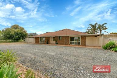 Farm Sold - SA - Roseworthy - 5371 - UNDER CONTRACT BY CHRISTOPHER HURST  (Image 2)
