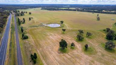 Farm Sold - NSW - Elong Elong - 2831 - WIWO Established Pistachio Farm With Location, Lifestyle & Productivity  (Image 2)