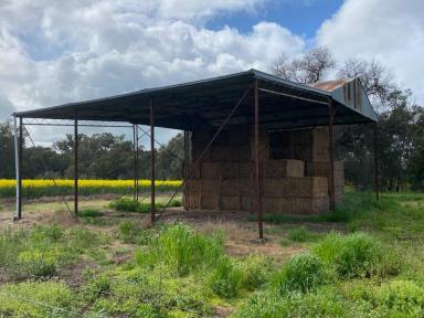 Farm For Sale - NSW - Culcairn - 2660 - Versatile Mixed Farming and Grazing  (Image 2)