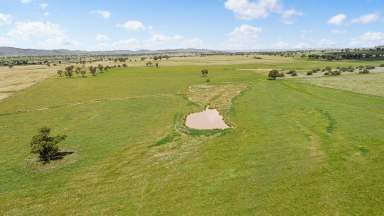 Farm Sold - NSW - Tamworth - 2340 - "Peppertree" Scale on Tamworth's Doorstep  (Image 2)