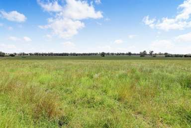 Farm Sold - NSW - Tamworth - 2340 - "Peppertree" Scale on Tamworth's Doorstep  (Image 2)