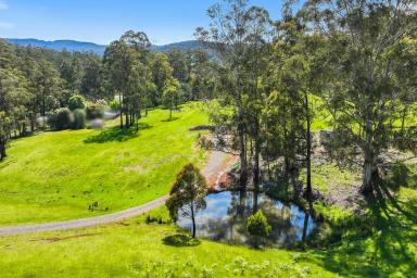 Farm Sold - VIC - Noojee - 3833 - 15 ACRES - CREATE THAT LIFESTYLE  (Image 2)