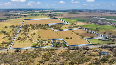 Farm Sold - VIC - Echuca - 3564 - Unique lifestyle property on 65.16 hectare (161 acres)  (Image 2)