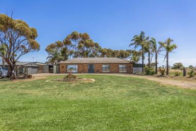 Farm Sold - SA - Mallala - 5502 - SPREAD YOUR WINGS AND TAKE ON A NEW VENTURE  (Image 2)
