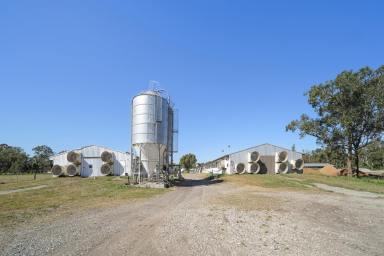 Farm Sold - NSW - Campvale - 2318 - EXCELLENT RENTAL RETURN  (Image 2)