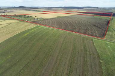 Farm Sold - QLD - Mount Molar - 4361 - Mount Molar plains

Highly regarded and diverse Irrigation, Cropping and grazing country.  (Image 2)