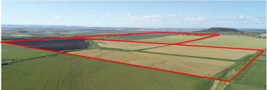 Farm Sold - QLD - Mount Molar - 4361 - Mount Molar plains

Highly regarded and diverse Irrigation, Cropping and grazing country.  (Image 2)