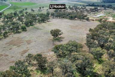 Farm Sold - NSW - Inverell - 2360 - SOLD BY LJ HOOKER INVERELL  (Image 2)